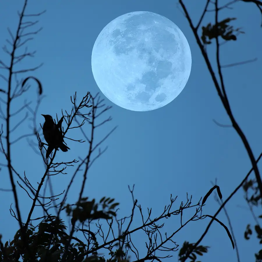 Luna hoy: calendario lunar del 13 al 19 de enero de 2025