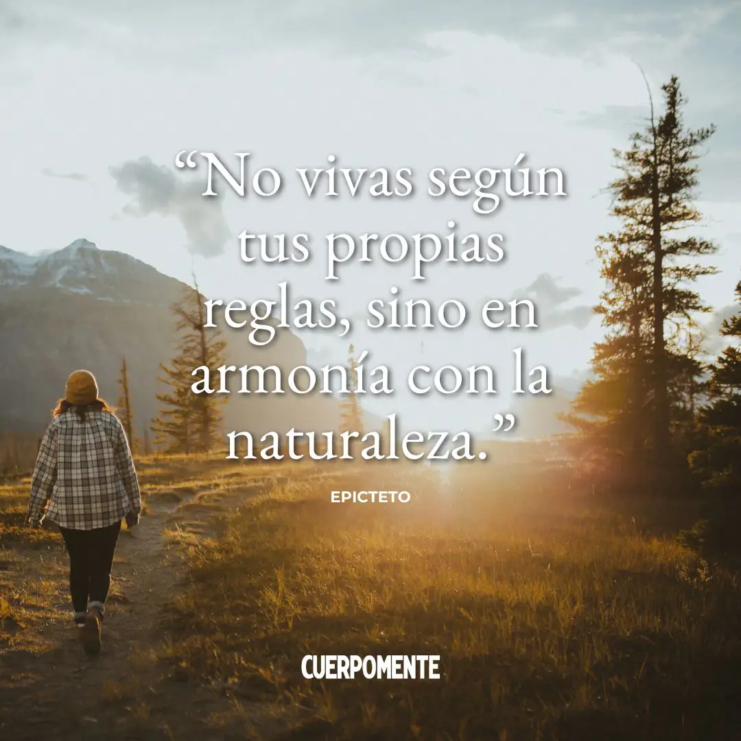 Frases de Epicteto: "No vivas según tus propias reglas, sino en armonía con la naturaleza."