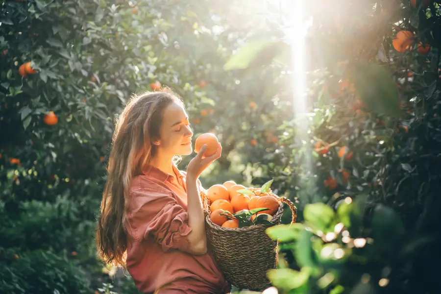 Mujer recogiendo naranjas