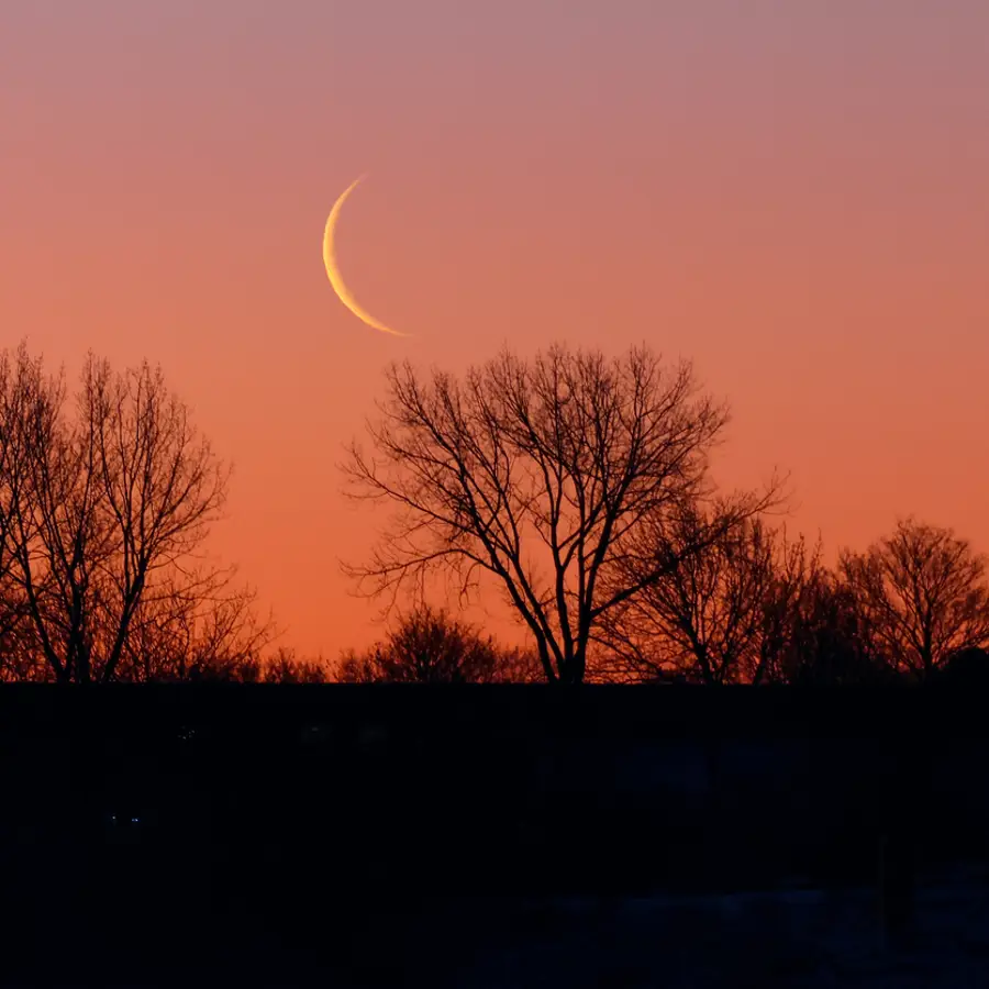 Luna hoy: calendario lunar del 27 de enero al 2 de febrero de 2025