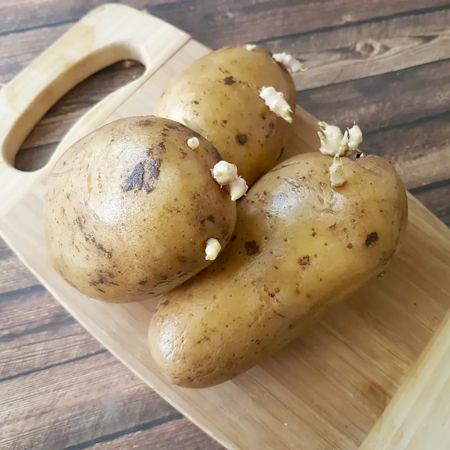 Patatas con brotes