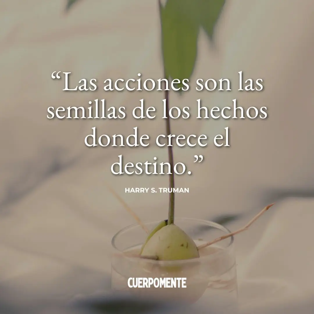 Frases sobre el karma: "Las acciones son las semillas de los hechos donde crece el destino." Harry S. Truman