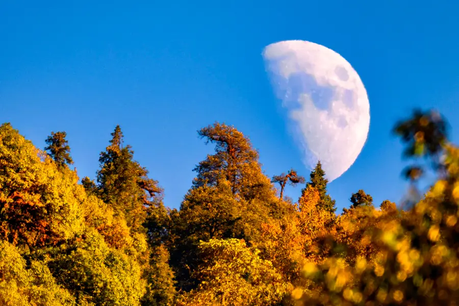 luna sobre paisaje otonal