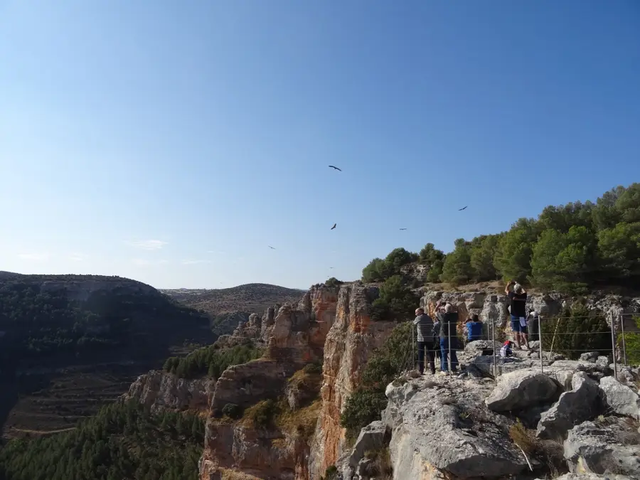 Mirador de los buitres (Jaraba)