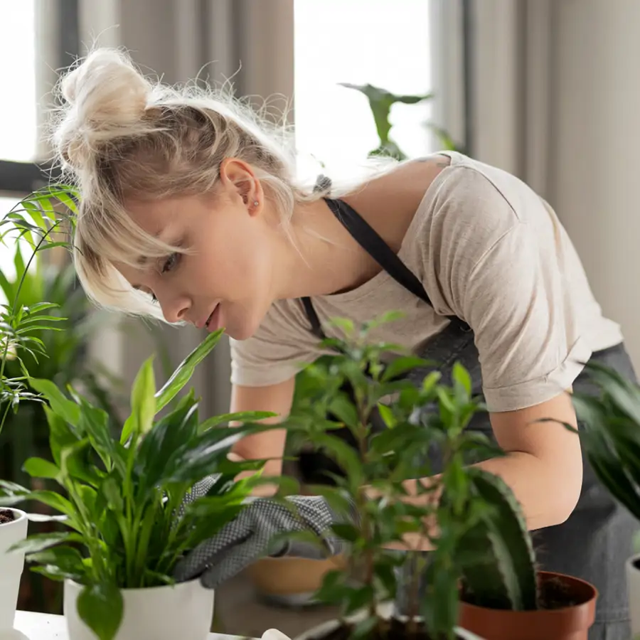 Ni café ni cáscara de huevo: el abono casero fácil y eficaz que es oro puro para tus plantas y lo revive todo