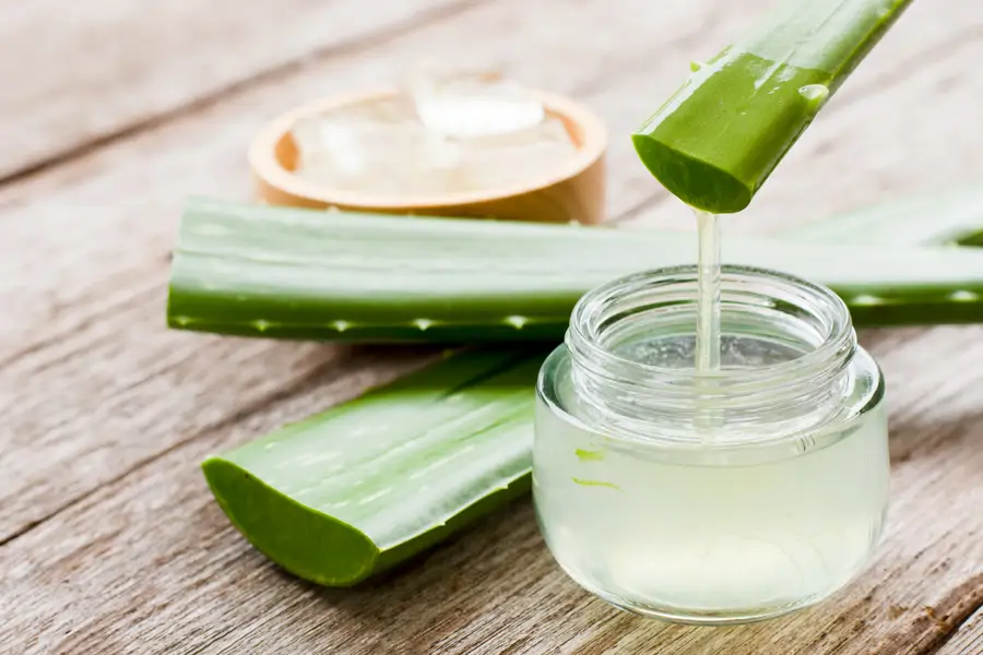 gel de aloe vera