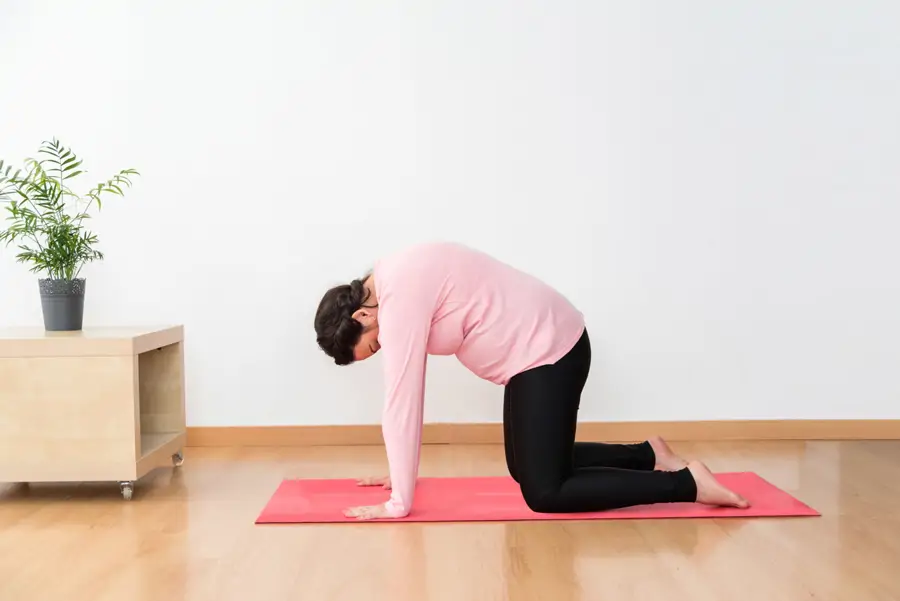 3. Marjaryasana o postura del gato