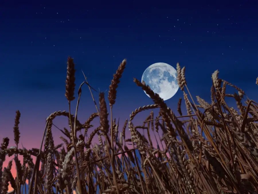 Plantas vigorosas en Luna llena