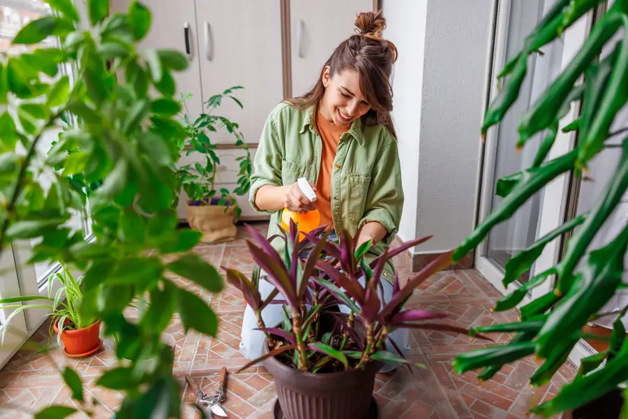 cuidado plantas guia completa