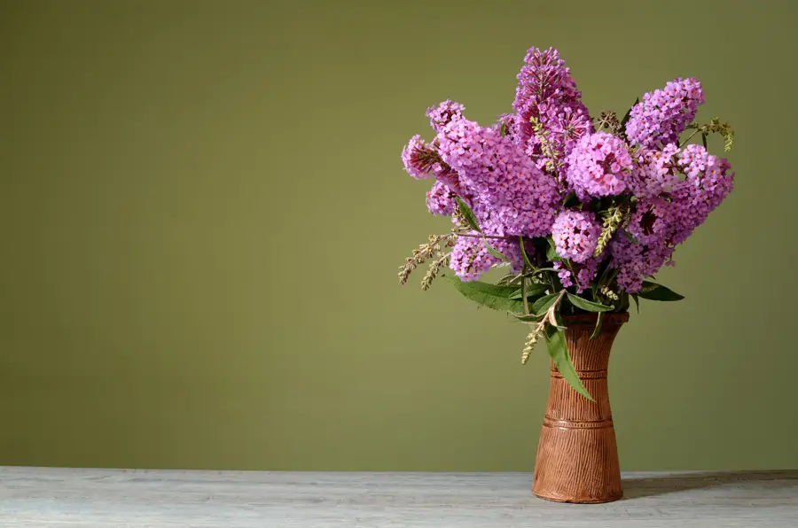 flores de buldeia