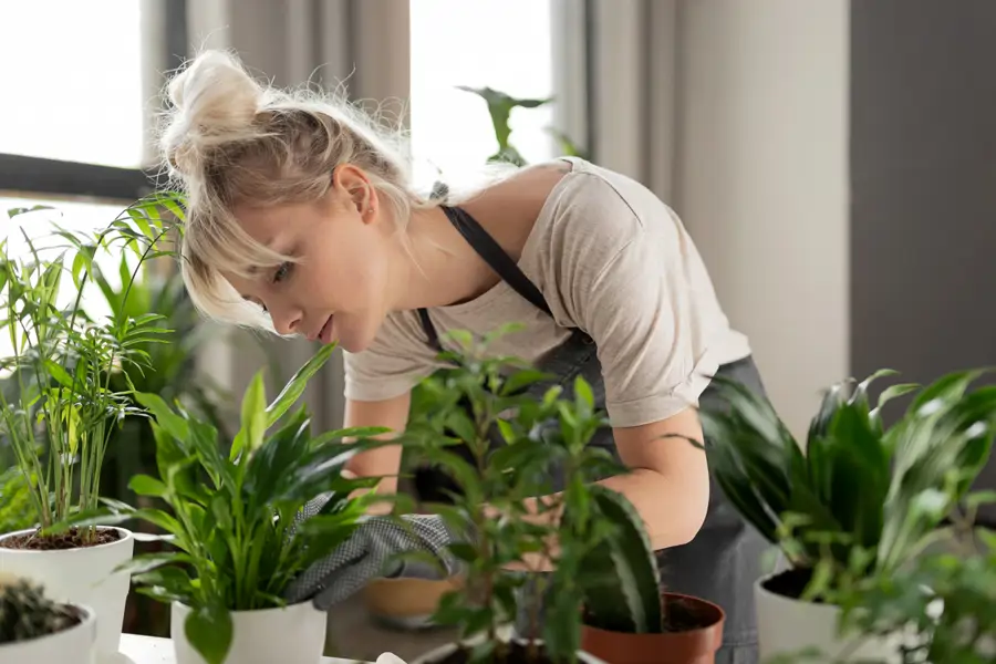 Cuidando plantas