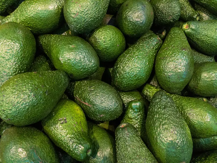 Aguacate