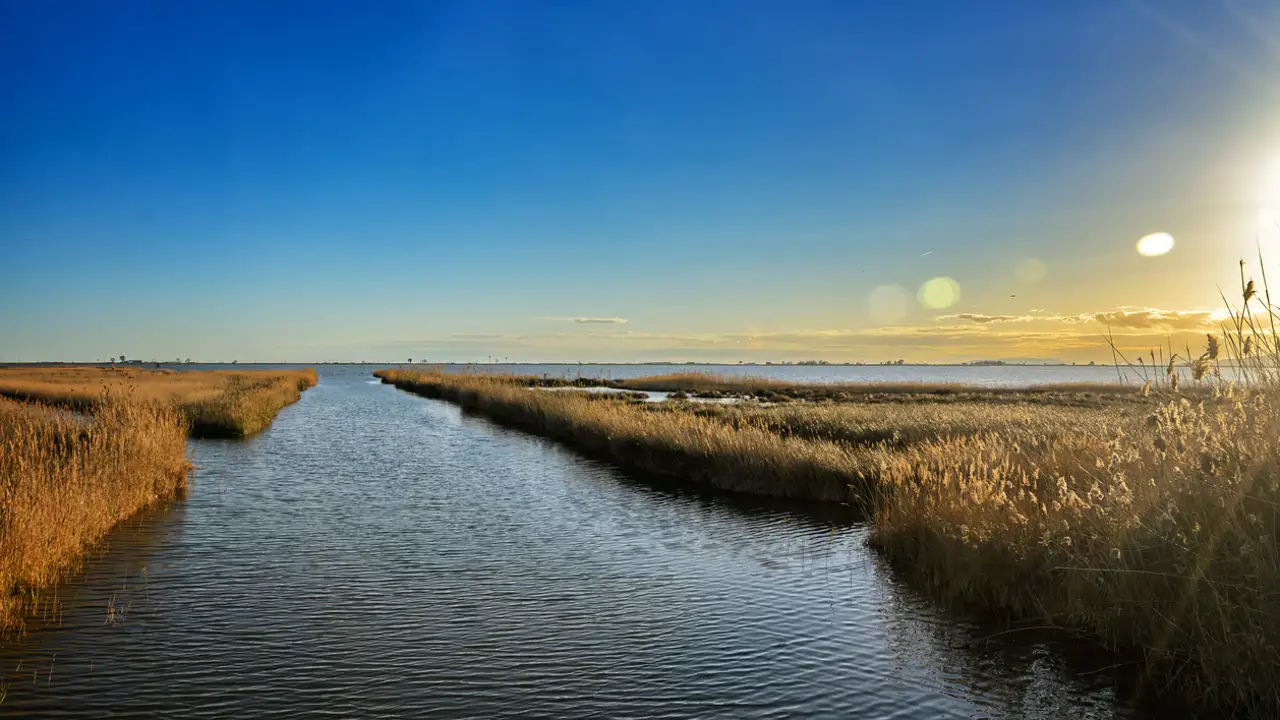 Delta del Ebro 