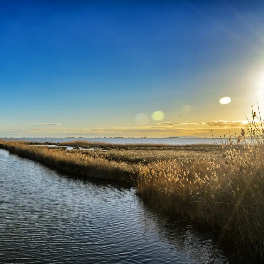 3 planes para disfrutar de Delta del Ebro a finales de invierno: tranquilidad, conexión con la naturaleza y pura belleza