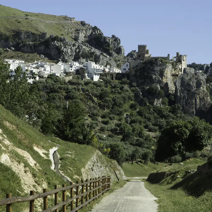 La ruta del aceite entre un mar de olivos que te lleva a uno de los pueblos blancos cordobeses más bonitos de España