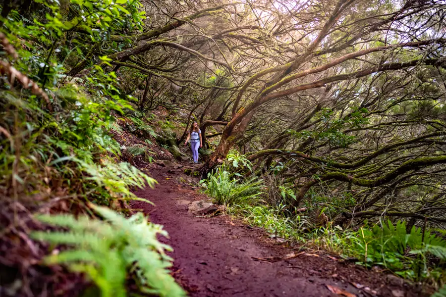 Mujer caminando por el bosque de Garajonay, en la Gomera