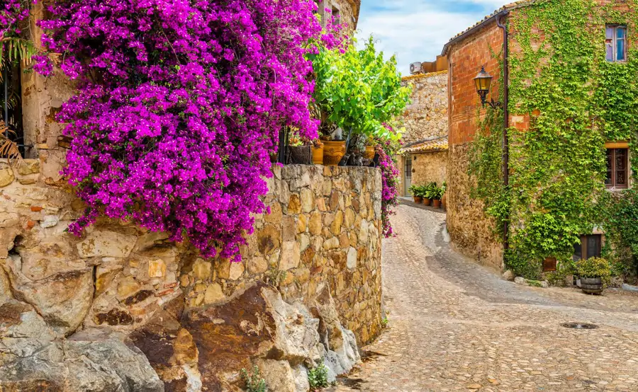 Calle de Pals, Girona