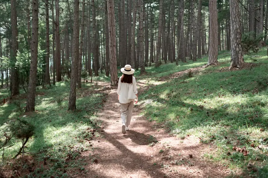 silent walking caminar caminata