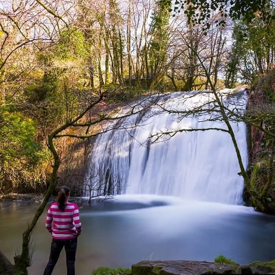 La desconocida y fácil excursión por un bosque de ensueño para descubrir las cascadas más mágicas de Galicia 