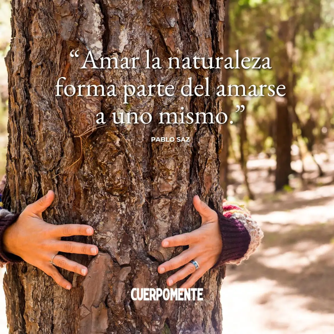 Frases naturaleza: "Amar la naturaleza forma parte del amarse a uno mismo." (Pablo Saz)