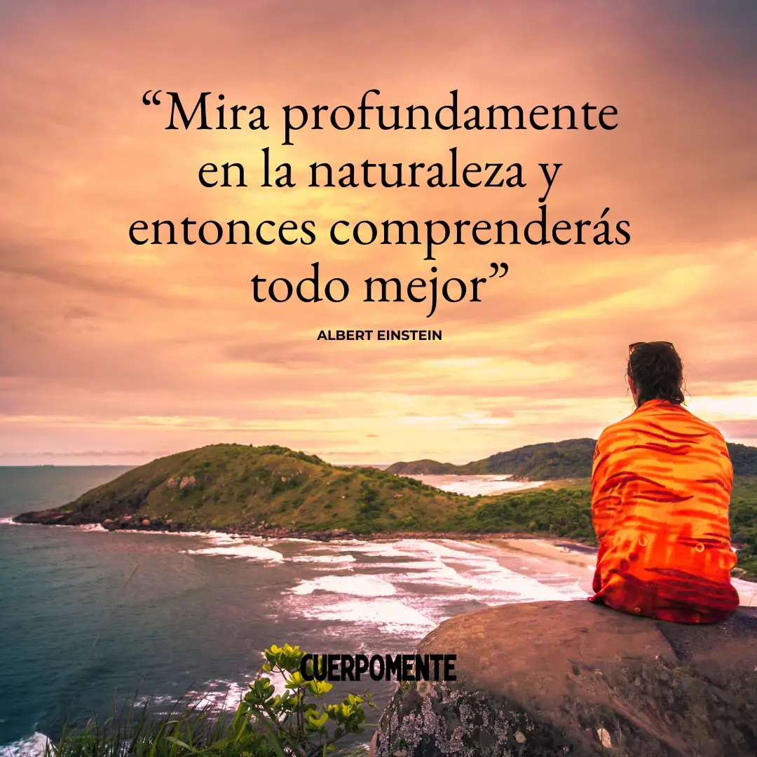 Frases naturaleza: "Mira profundamente en la naturaleza y entonces comprenderás todo mejor" (Albert Einstein)
