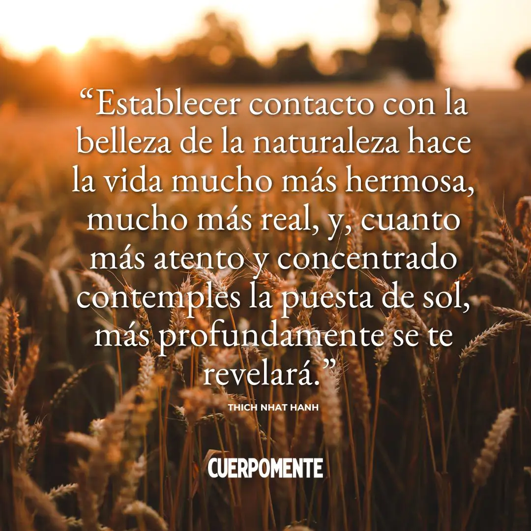 Frases naturaleza: 4. “Establecer contacto con la belleza de la naturaleza hace la vida mucho más hermosa, mucho más real, y, cuanto más atento y concenrtrado contemples la puesta de sol, más profundamente se te revelará.” (Thich Nhat Hanh)
