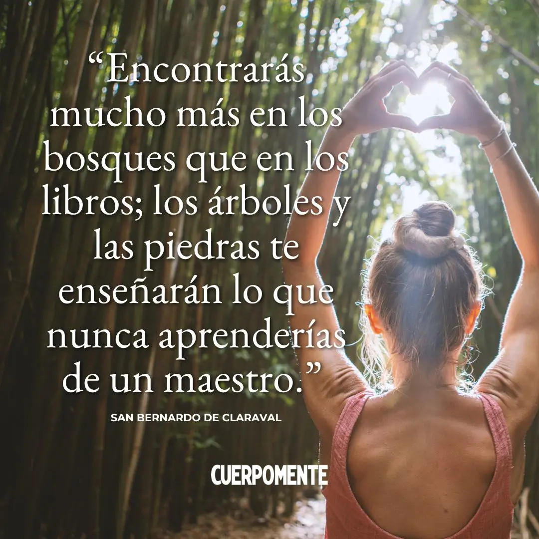 Frases naturaleza: “Encontrarás mucho más en los bosques que en los libros; los árboles y las piedras te enseñarán lo que nunca aprenderías de un maestro.” 