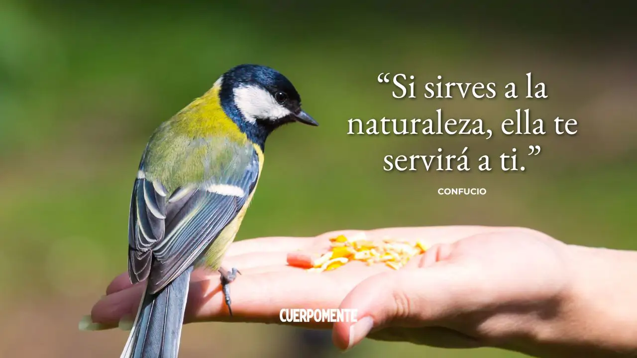 frases naturaleza