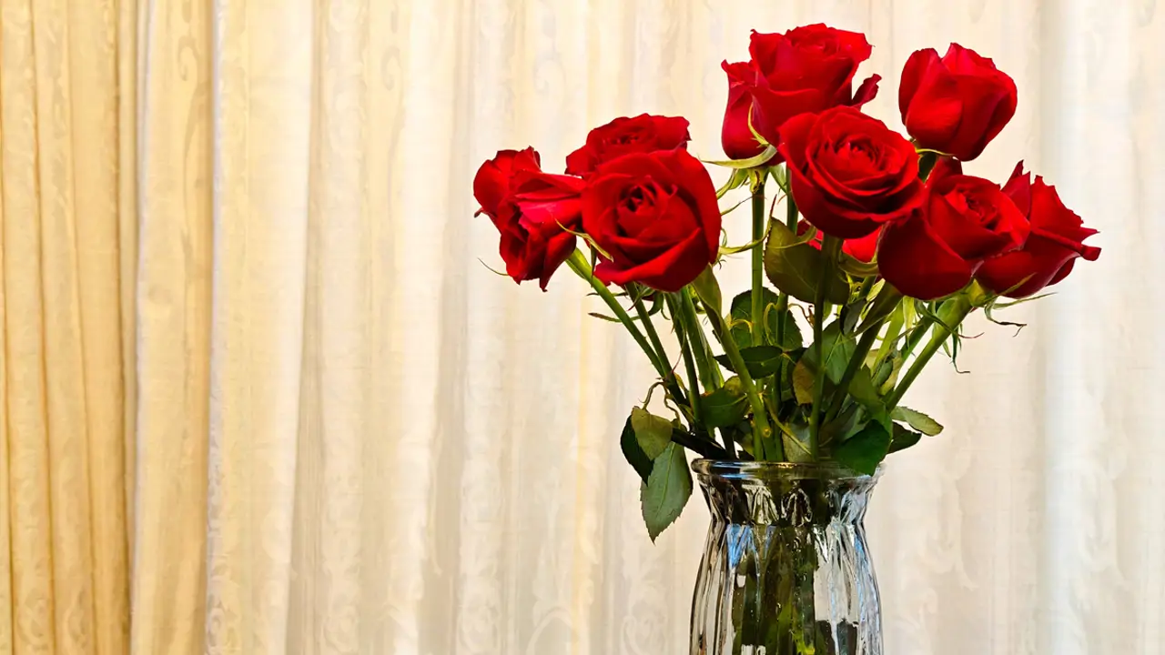 Rosas rojas