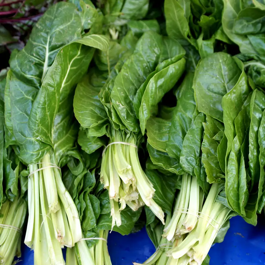  4 recetas con acelgas fáciles y deliciosas para que te enamores de esta verdura