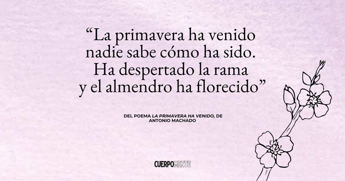 Uniforme Deportivo Colegio Pantalones Cortos Deportivos Trutex Para Niños - 100% Poliéster - Varios Colores - Tallas Infantiles Pantalón Corto Niño