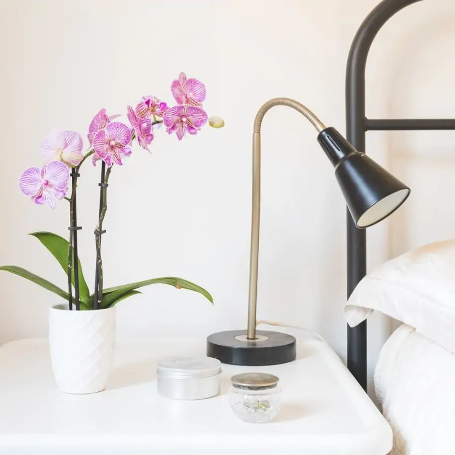 Anjie Cho, experta en feng shui: "Las orquídeas te pueden ayudar a encontrar una buena pareja o hacerla durar"