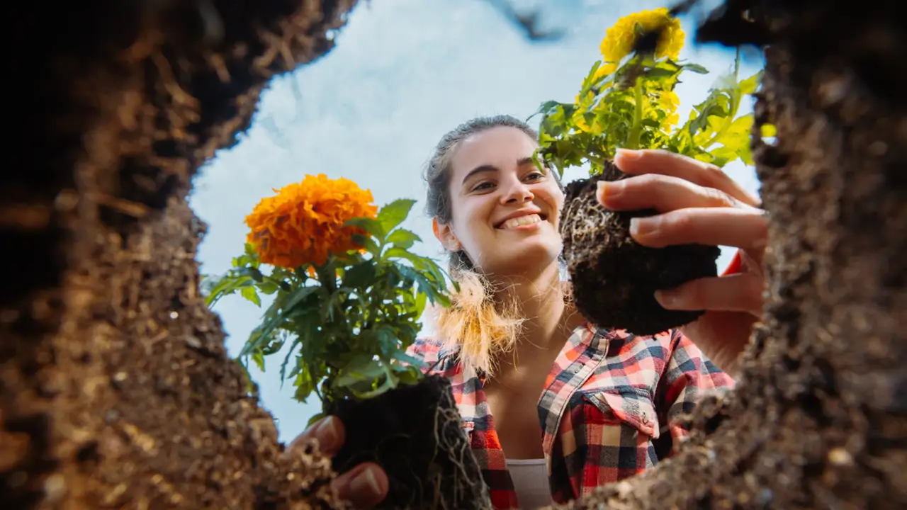 Mujer plantando flores