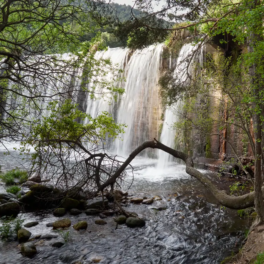No es Finlandia: el bosque mágico con cascadas a una hora de Madrid para hacer senderismo en familia y desconectar de verdad