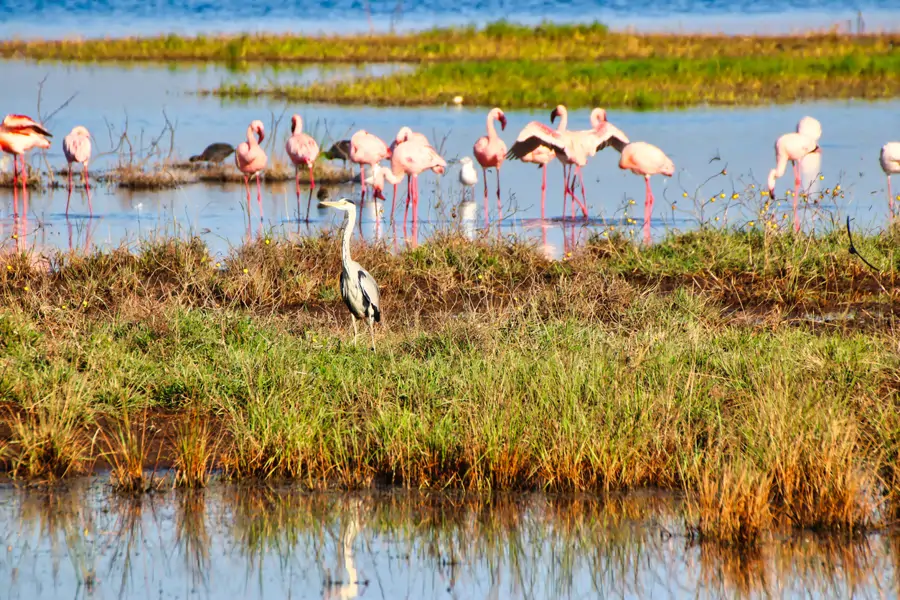 Parque Nacional de Doñana