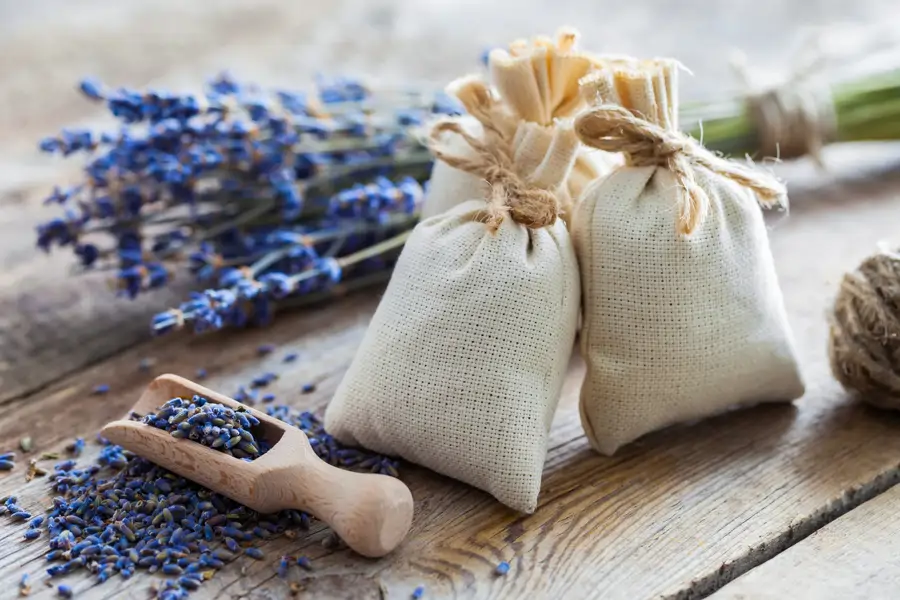 saquitos de lavanda