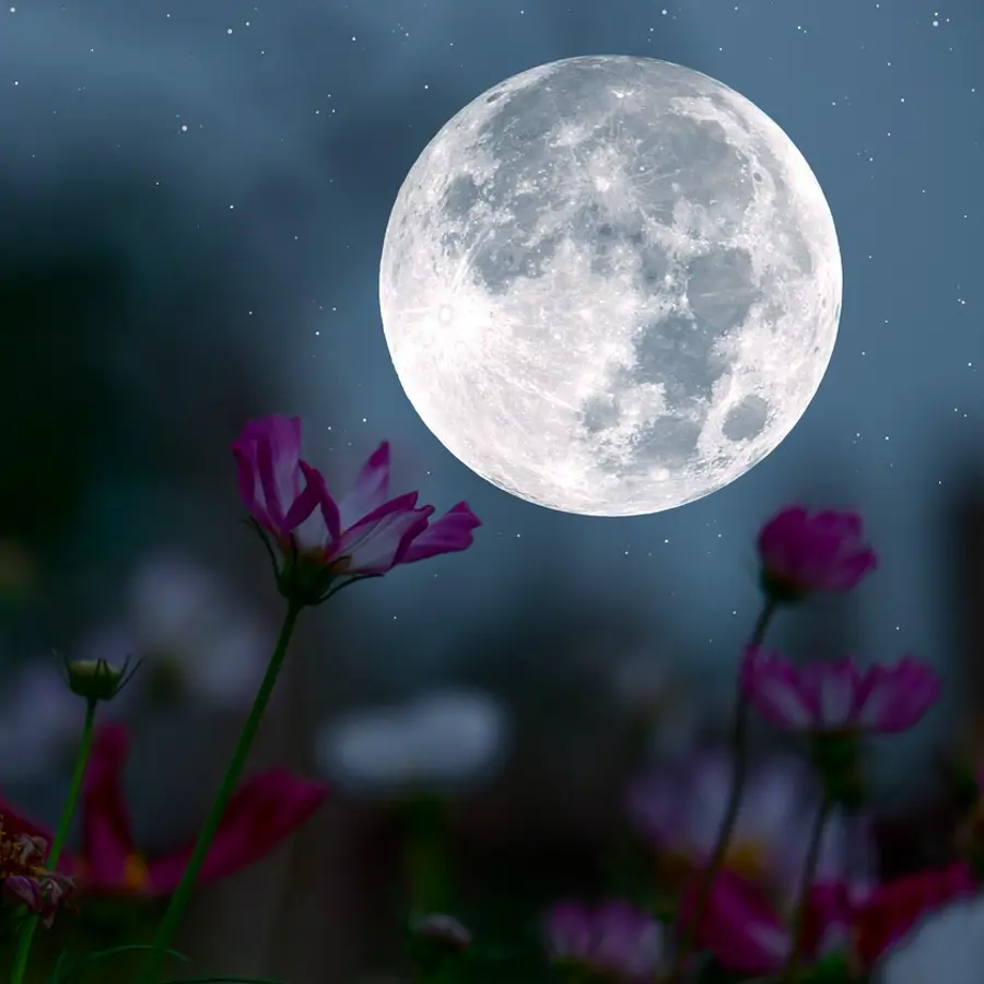 Moon_Monday_2