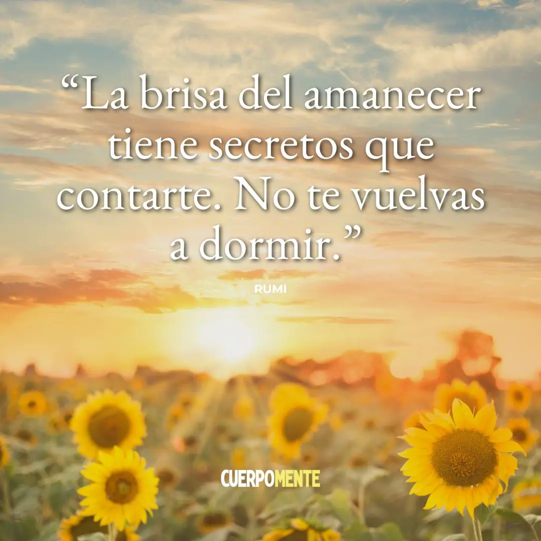 Frases del amanecer (6)