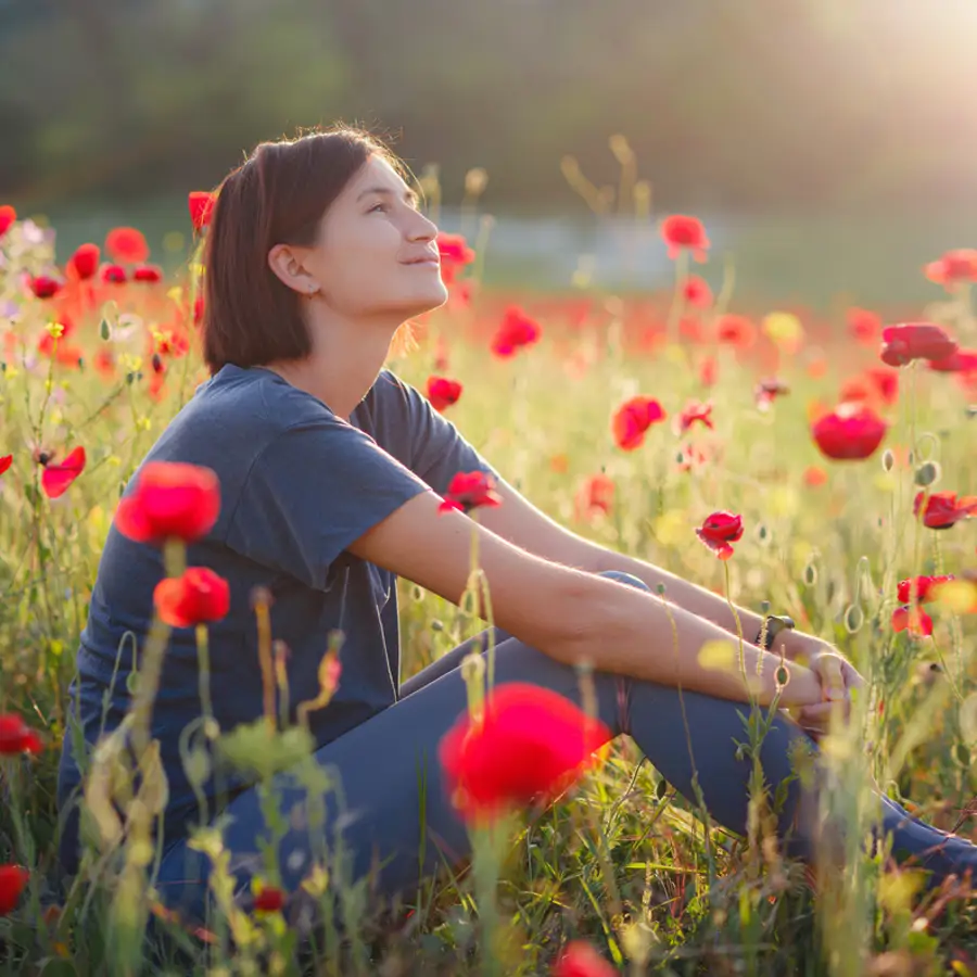 Los campos de amapolas más bonitos de España: estos son los 9 más bellos y cuándo florecen