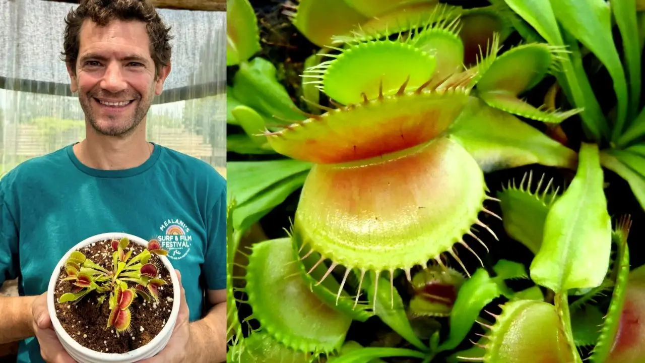 plantas carnívoras y Rodrigo Miranda, experto