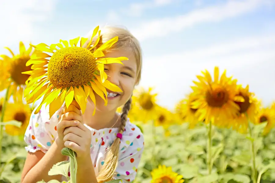 Girasol