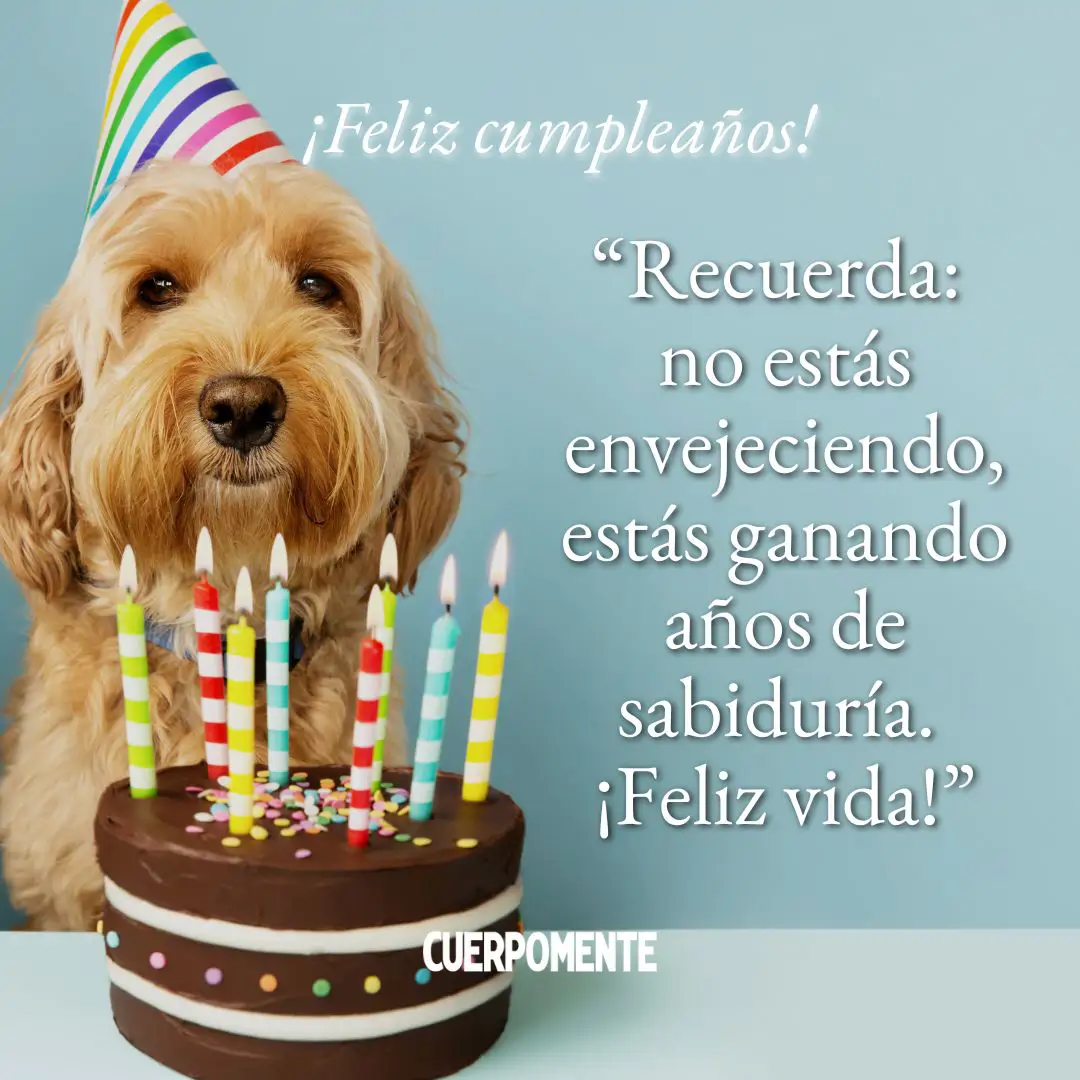 Felicitaciones de cumpleaños graciosas y frases de cumpleaños divertidas