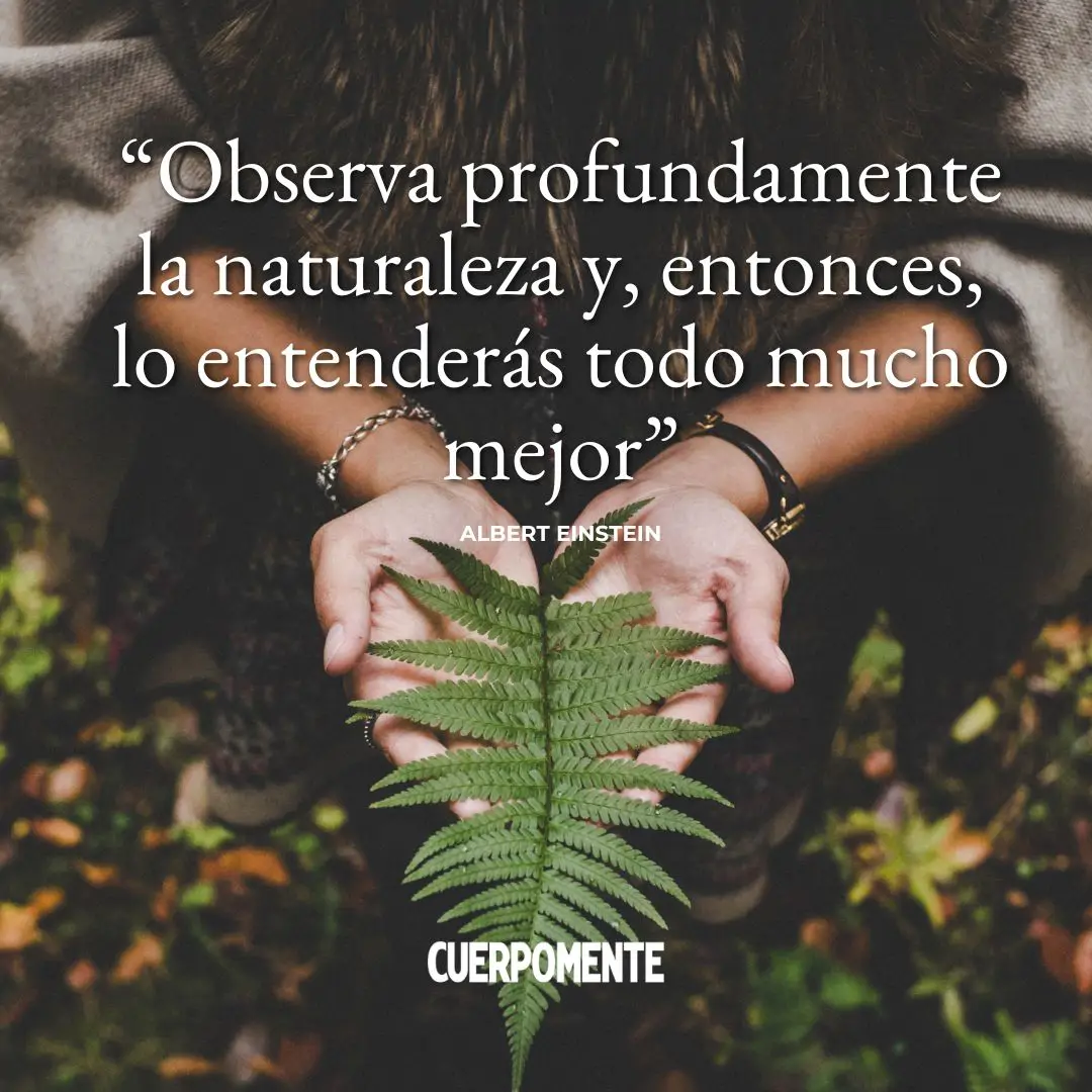 Frases para el alma (10)