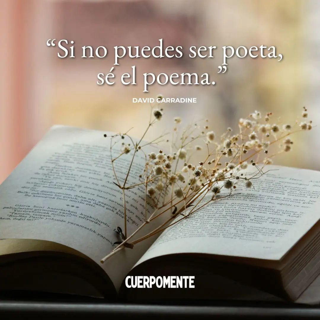 Frases para el alma (13)