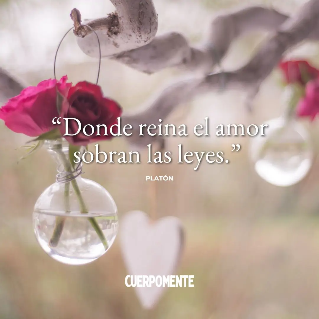 Frases para el alma (9)
