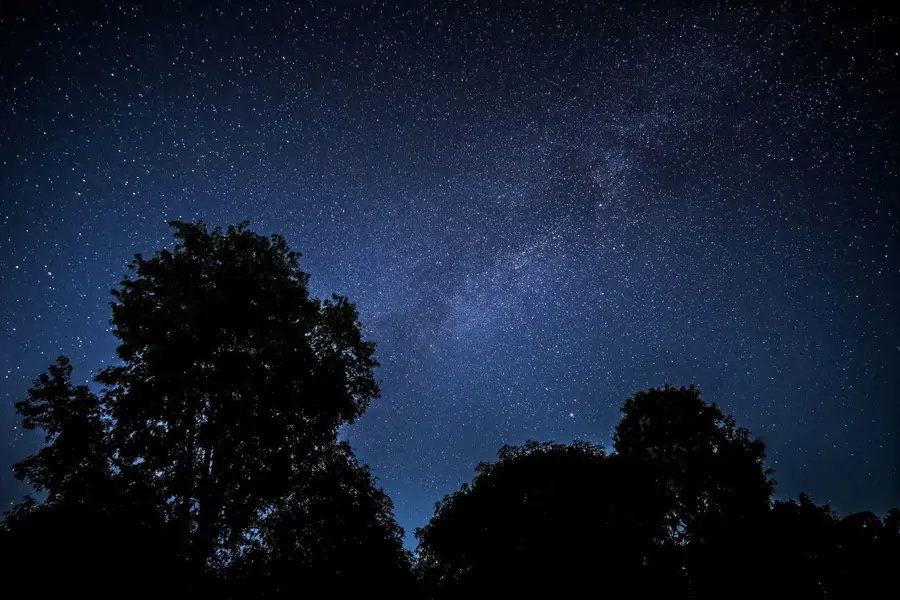 Cielo nocturno estrellado