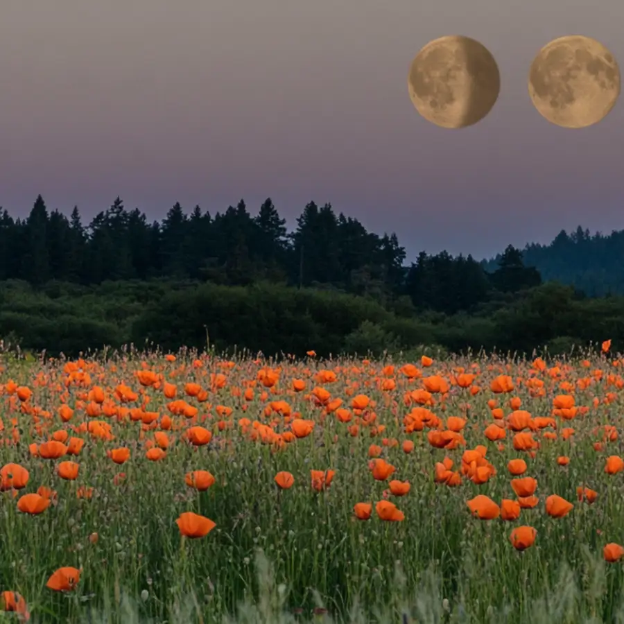 Luna hoy, miércoles 28 de mayo: "Luz verde en el cielo. Confía en ti, es hora de salir del rol de aprendiz y comenzar a compartir tu experiencia y maestría"