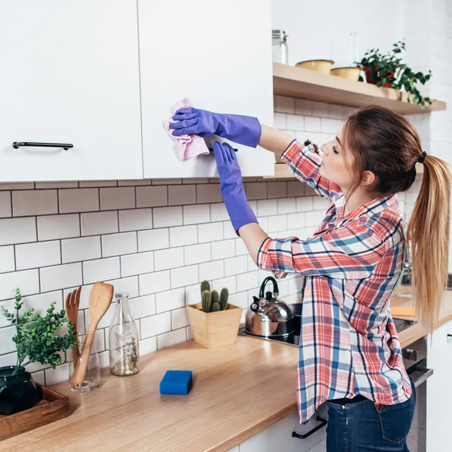 María Fernández, experta en hogar: "Desde que utilizo este truco contra las hormigas, ya no tengo ninguna rondando por la cocina"