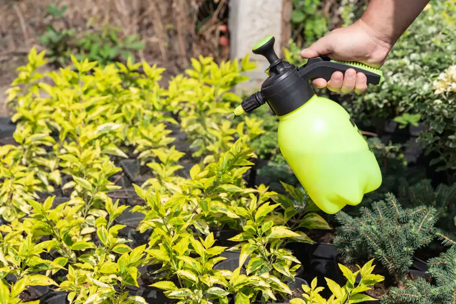 regar plantas fertilizante