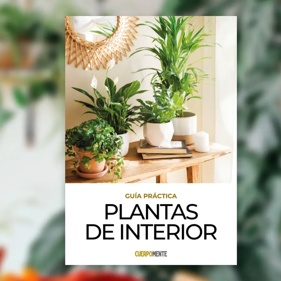 Descarga gratis el eBook "Plantas de interior"